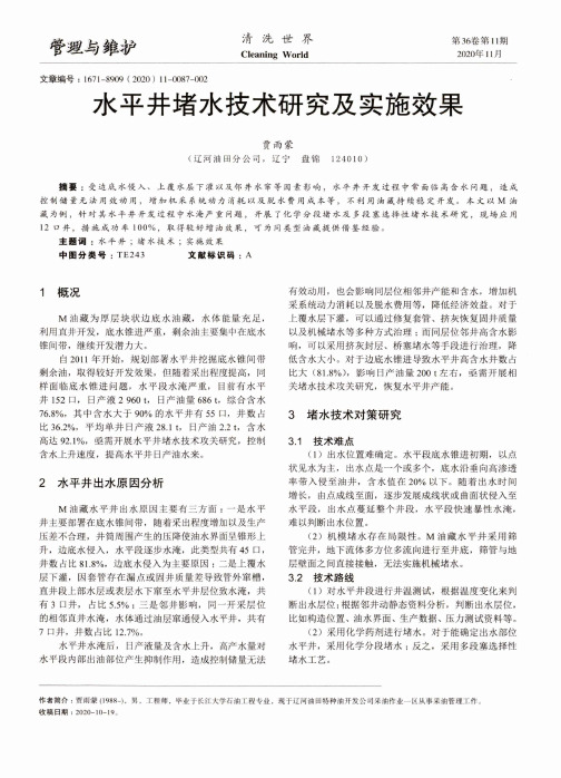 水平井堵水技术研究及实施效果