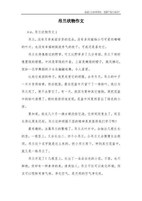 吊兰状物作文