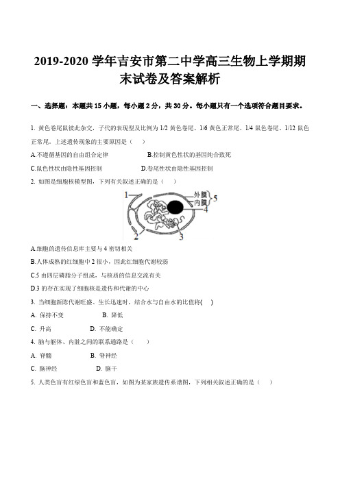 2019-2020学年吉安市第二中学高三生物上学期期末试卷及答案解析