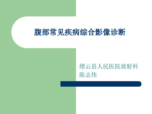 腹部常见疾病综合影像诊断 陈志伟