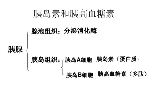 内分泌系统和体液调节