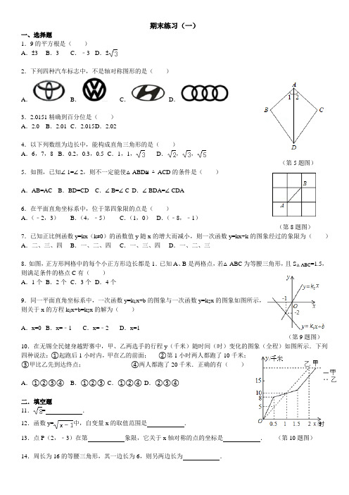 苏教版数学八年级上期末填空选择练习