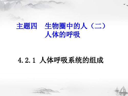 北京延庆区初中生物总复习主题四：生物圈中的人(二)