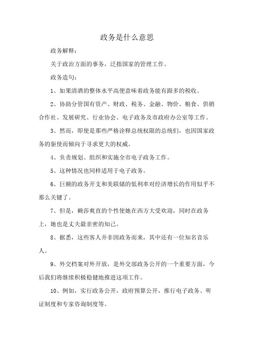 政务是什么意思