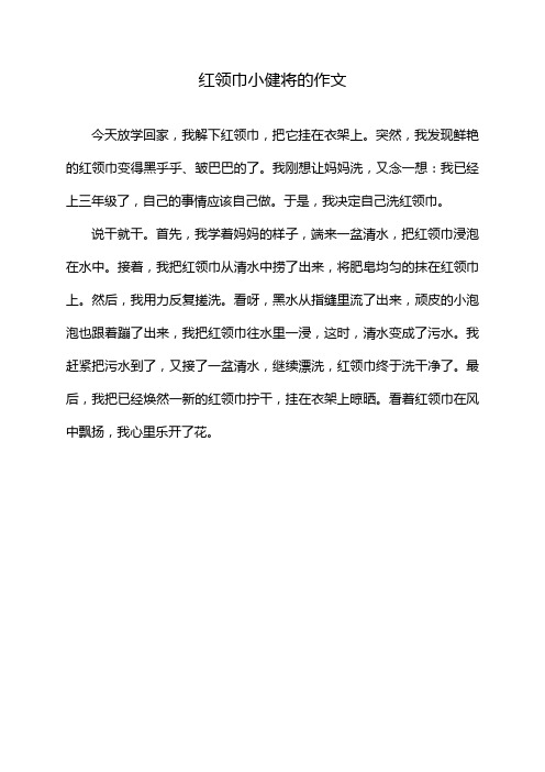 红领巾小健将的作文