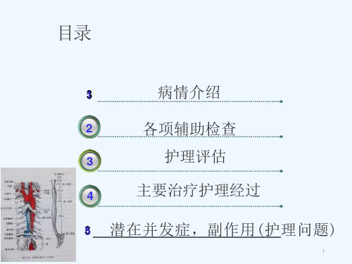 食道癌个案护理ppt课件