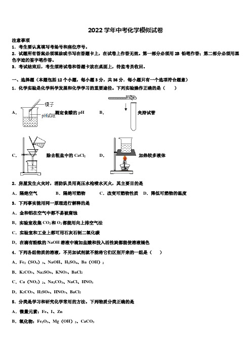 2022届江苏扬州市梅岭中学中考猜题化学试卷(含解析)