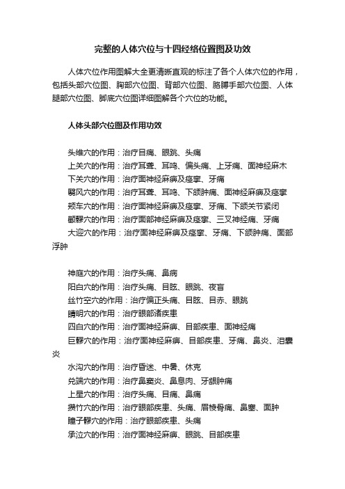 完整的人体穴位与十四经络位置图及功效