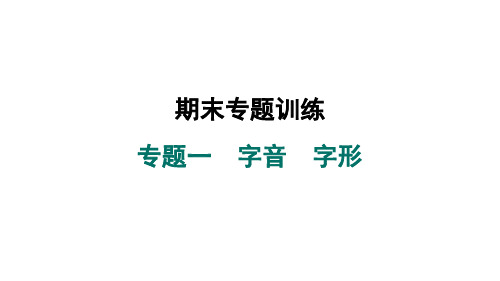 2024—2025学年统编版语文七年级上册专题一 字音 字形 期末基础知识专题训练课件