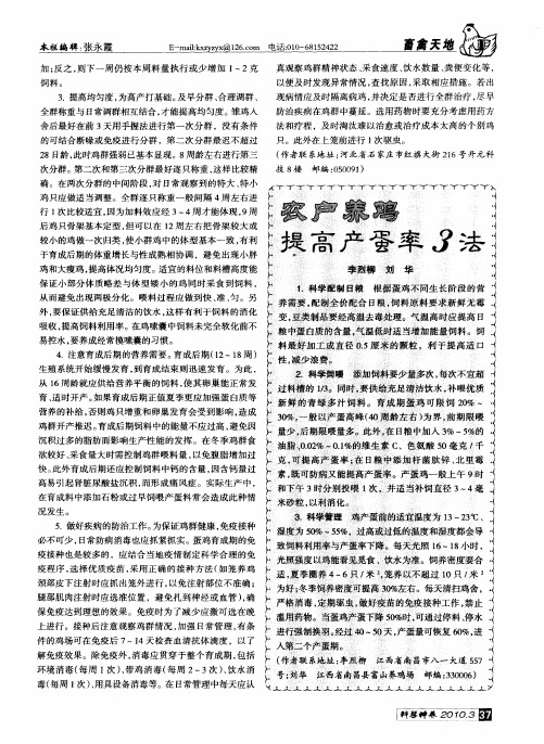农户养鸡提高产蛋率3法