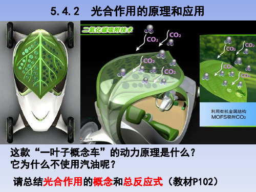 【课件】光合作用的原理和应用课件高一上学期生物人教版必修1