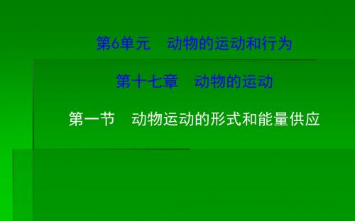 苏教版八年级上册生物5.17.1动物运动的形式和能量供应(共13张PPT)