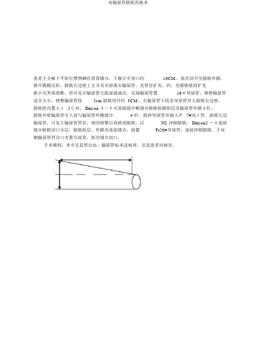 双输尿管膀胱再植术