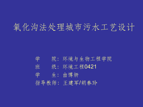 氧化沟法处理城市污水工艺