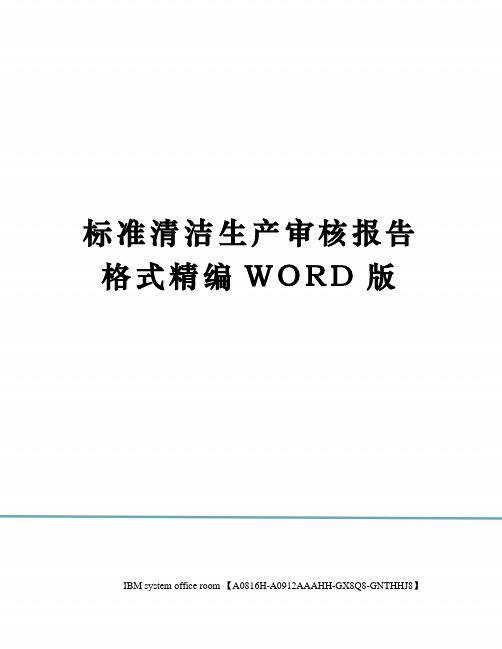 标准清洁生产审核报告格式精编WORD版