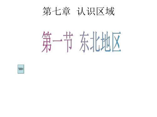 粤人地理八年级下册第七章第一节 东北地区(共20张PPT)