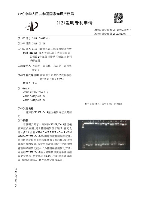 【CN109722446A】一种辣椒CRISPRCas9基因编辑方法及其应用【专利】