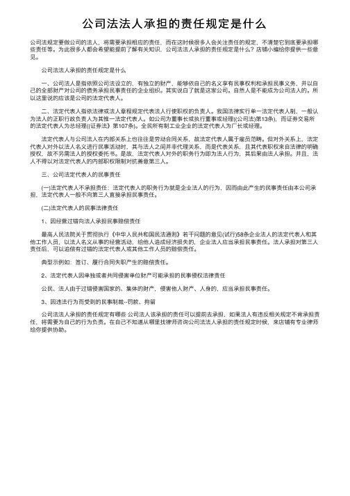 公司法法人承担的责任规定是什么