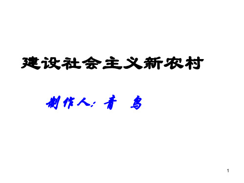 九年级政治建设社会主义新农村(1)