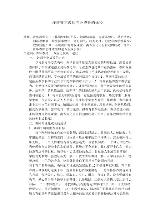 浅谈青年教师专业成长的途径