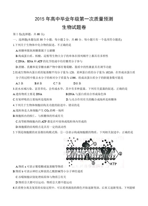 河南省郑州市2015届高三第一测生物试题及答案