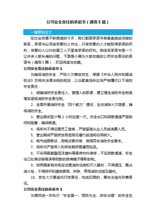 公司安全责任的承诺书(通用5篇)