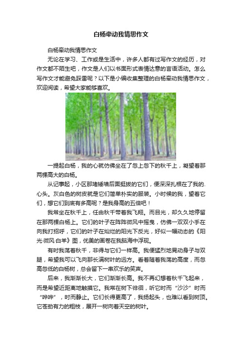 白杨牵动我情思作文