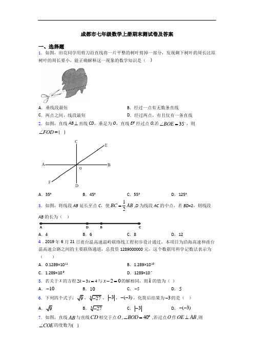 成都市七年级数学上册期末测试卷及答案