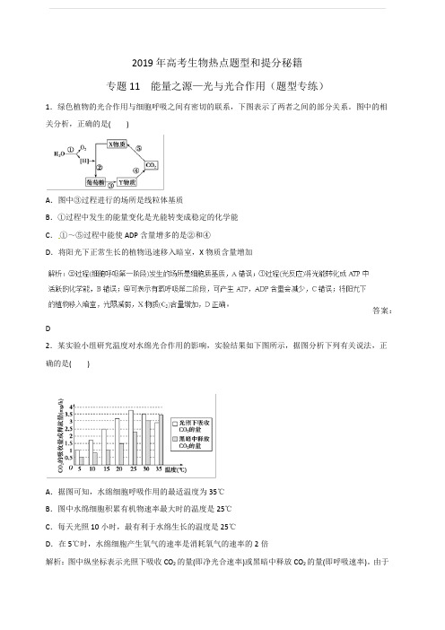 2019届高考生物二轮热点题型专题训练11能量之源—光与光合作用集合(含答案)