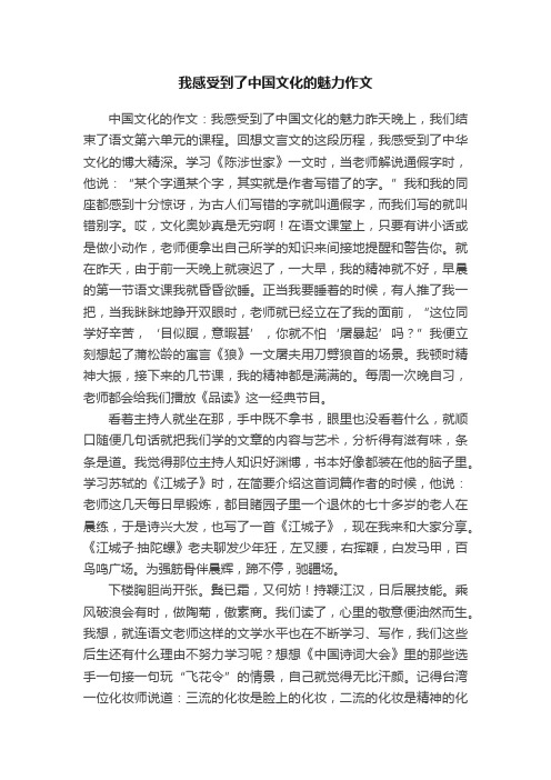 我感受到了中国文化的魅力作文