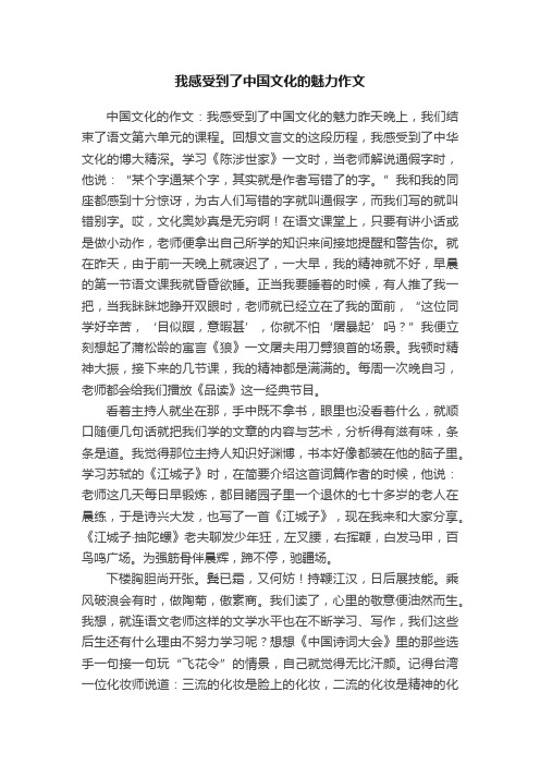 我感受到了中国文化的魅力作文