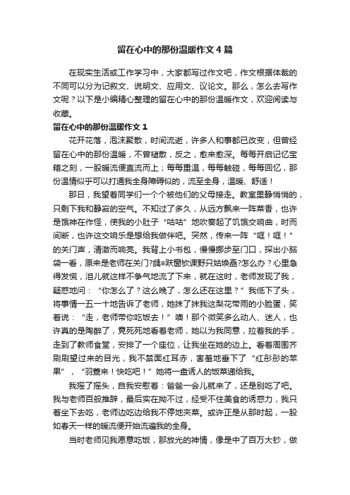 留在心中的那份温暖作文4篇