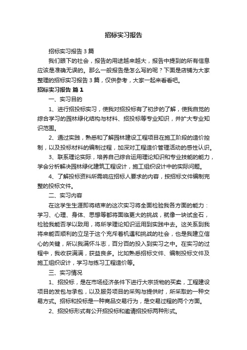 招标实习报告