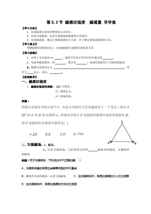 5.3《磁感应强度+磁通量》导学案