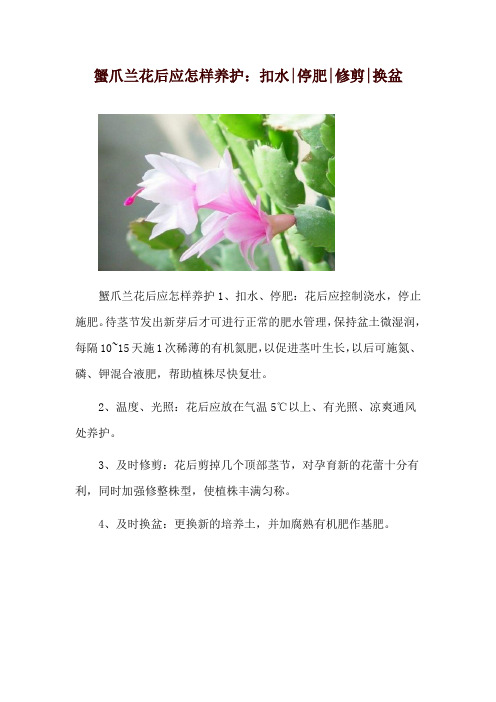 蟹爪兰花后应怎样养护：扣水-停肥-修剪-换盆