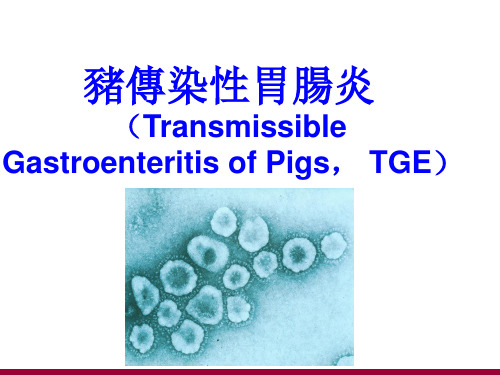 猪传染性胃肠炎课件