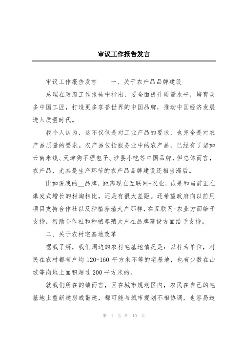 审议工作报告发言