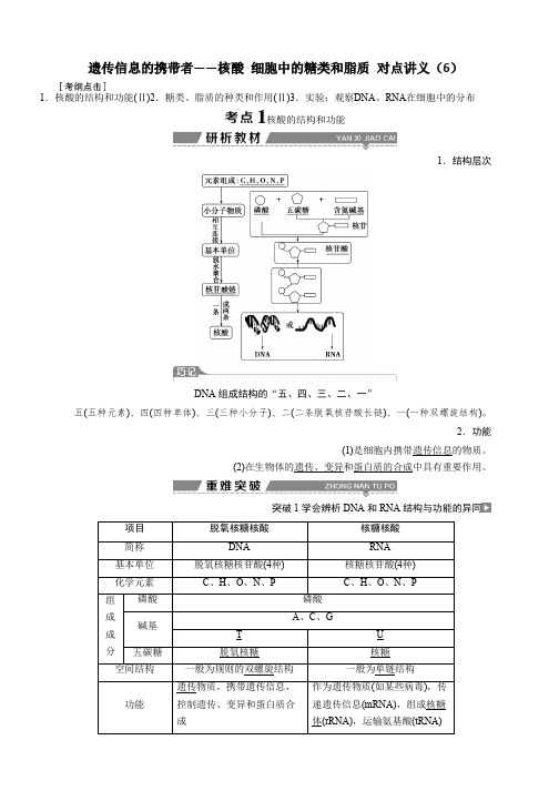 高中生物考点复习：第一单元第4讲遗传信息的携带者——核酸 细胞中的糖类和脂质 对点讲义(6) Word版含答