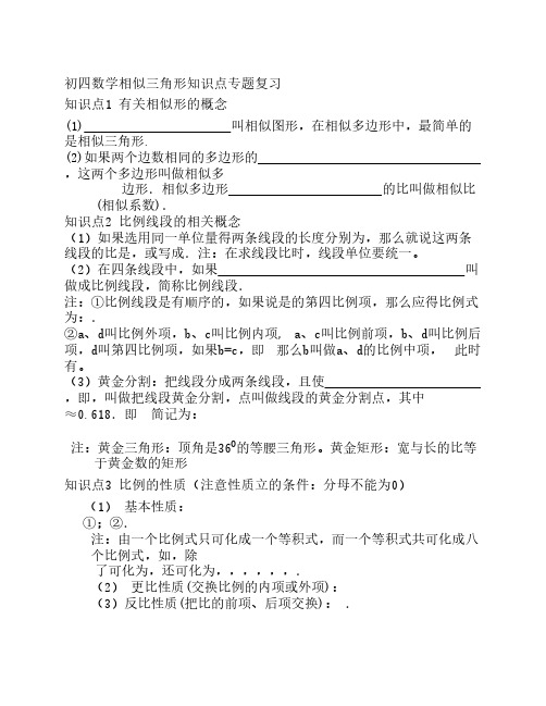 初四数学相似三角形专题复习
