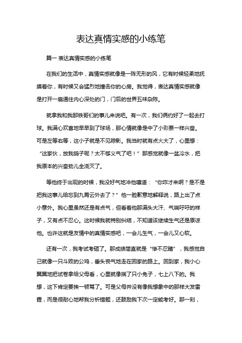 表达真情实感的小练笔