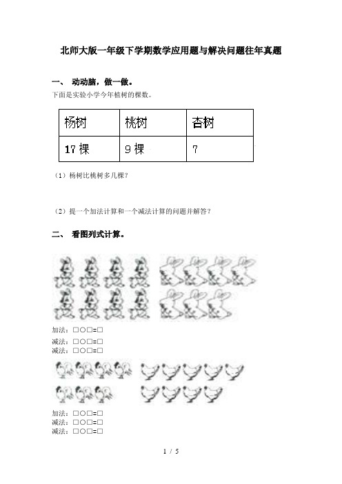 北师大版一年级下学期数学应用题与解决问题往年真题