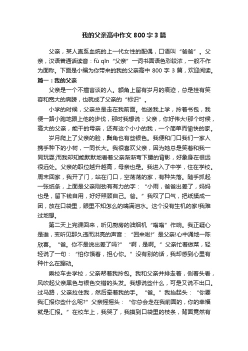 我的父亲高中作文800字3篇