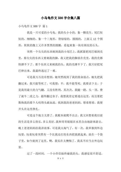 小乌龟作文500字合集八篇