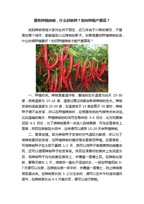 露地种植辣椒，什么时候种？如何种植产量高？