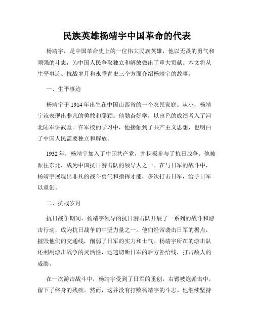 民族英雄杨靖宇中国革命的代表