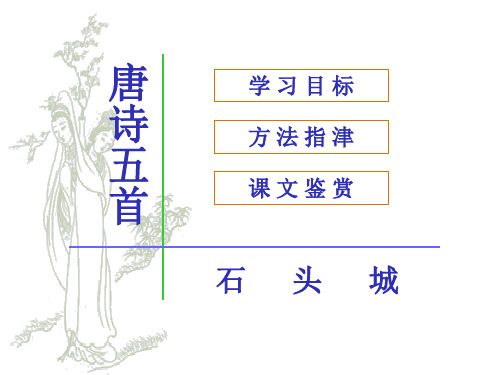 石头城 PPT课件 13 人教版