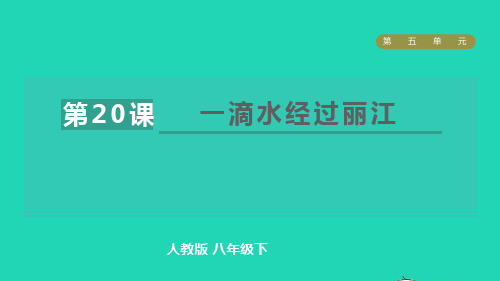 2022春八年级语文下册第5单元20一滴水经过丽江习题课件ppt人教部编版