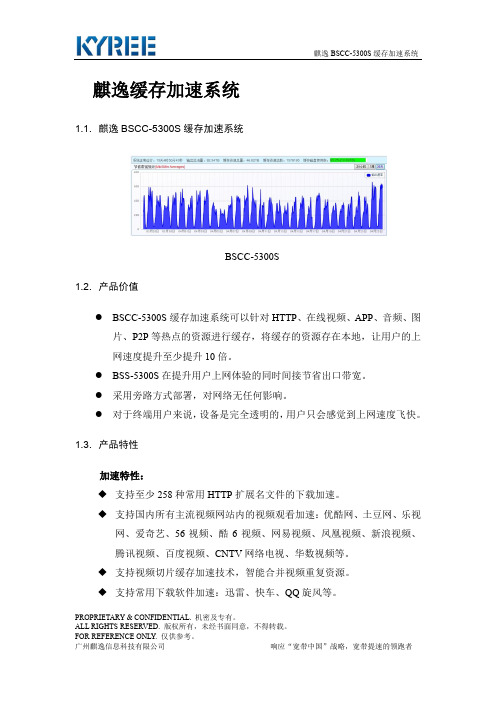 麒逸BSCC-5300S缓存加速系统