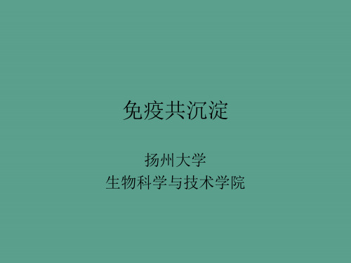 免疫共沉淀ppt课件