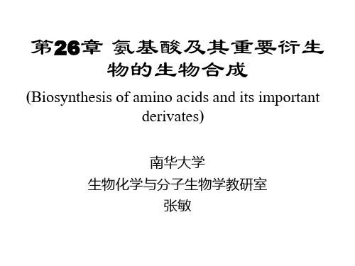 第26章 氨基酸及其重要衍生物的生物合成(3课时)